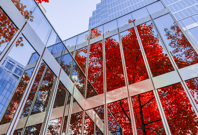 Glass Building with Fall Trees