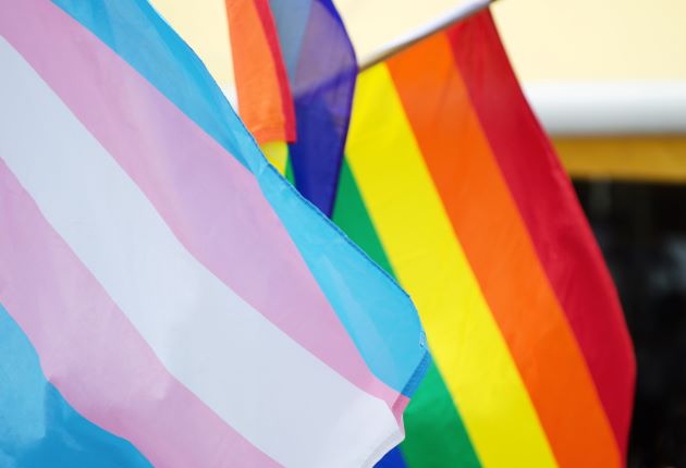 Transgender and Pride Flags