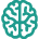 brain